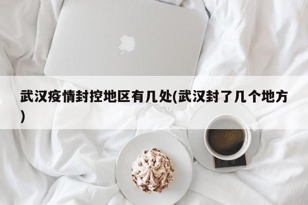 武汉疫情封控地区有几处(武汉封了几个地方)