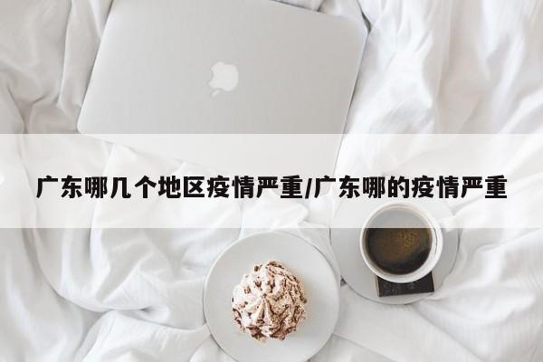 广东哪几个地区疫情严重/广东哪的疫情严重