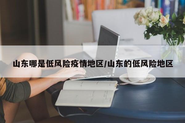 山东哪是低风险疫情地区/山东的低风险地区